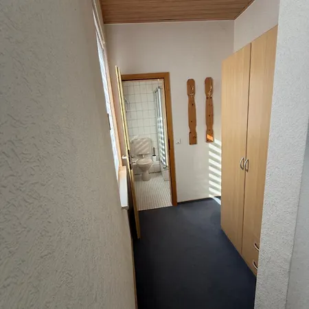 Zur Traube 宾馆 *